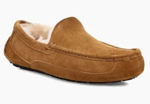 UGG Men's Ascot Slipper - Picture 1 of 14