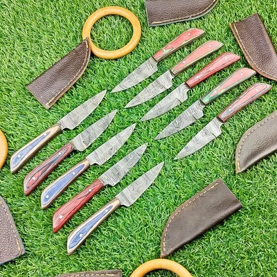 LOT OF 10 PCS CUSTOM Handmade DAMASCUS steel Skinner knives Hunting Knives 509 - Image 1 of 4