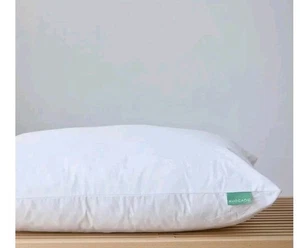 Avocado Brand Green Organic Pillow Queen Size FREE SHIP - Picture 1 of 4