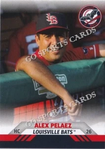 2023 Louisville Bats Alex Palaez Cincinnati Reds HC Minor League - Picture 1 of 1