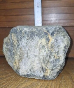 Wal Wirbel Knochen Fossil Ca 16 Mio Jahre Alt Anholt Selten Sehr Gut Erhalten - Bild 1 von 7