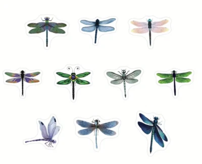 Dragonfly Stickers 2.5cm 50/100pc Scrapbooking Journal Decoration Cards Craft - image 1 of 4