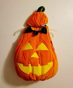 Disfraz de Halloween Pottery Barn para niños calabaza brilla en la oscuridad naranja hinchado 2T #530 - Imagen 1 de 5