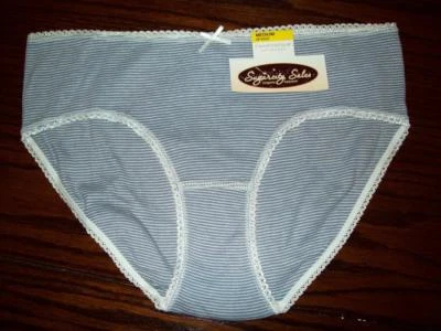 NWT CHARTER CLUB 100% COTTON HIPSTER CHAMBRAY STRIPE PANTIES XS - Image 1 of 2