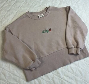 Personalized LILY Sweatshirt Zara Girls Strawberry Cute Pale Pink Size 4-5 - Picture 1 of 6