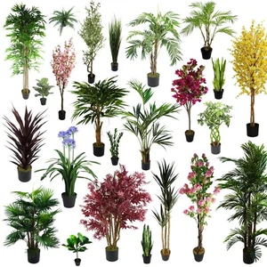 GRANDES Palmeras Artificiales, Plantas Ficus, Bambú Tropical Yukka ULTRA REALISTA - Imagen 1 de 187