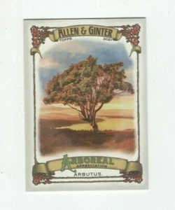 2021 TOPPS ALLEN & GINTER ARBOREAL APPRECIATION ARBUTUS #AA-9 - Picture 1 of 7
