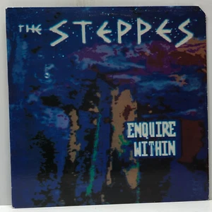 Thin Steppes-Enquire Within-Voxx 200.058-GARAGE PSYCH - Imagen 1 de 4