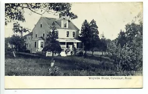 Postal antigua Cataumet, Bourne MA Mass, Wayside Home, de Fanny Handy - Imagen 1 de 3