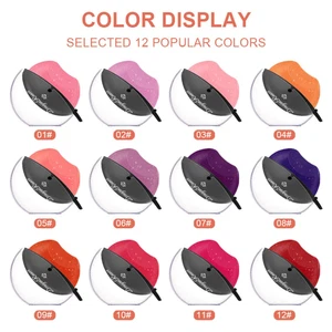 12-Color Set Into Makeup Lazy Lip Lipstick Lipstick Matte Lipstick. Matte R0J9 - Picture 1 of 24