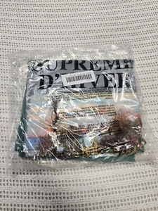 Supreme D'Hiver Tee Dusty Teal FW19 Size Large DS - Picture 1 of 4