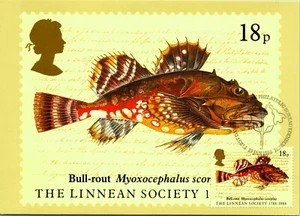 Maxi sello postal filatélico británico Bullrout Fish Linnean Society - Imagen 1 de 2