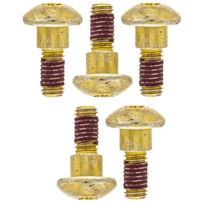 Arctic Cat 0423-557 Self-Tapping Shoulder Screw M6-1.0x18mm Z&Y W/2353 5 Pack - Изображение 1 из 4