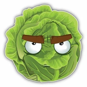Cabbage Disillusioned Smile Funny Cute Cartoon Sticker Decal Design "SIZES" - Picture 1 of 1