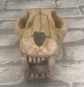 Dog Skull Halloween Decor Resin Skeleton Sculpture Animal Model Prop - Picture 1 of 11