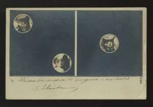 cartolina d'epoca-post card-DONNINE WOMAN LADY FRAU FEMME 77 - Imagen 1 de 1