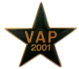 Pin Walmart Pins VAP Volunteerism Always Pays 2001 Star Shaped Green and Gold - Picture 1 of 6