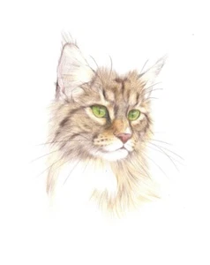 Original Cat Portrait - Coloured Pencils Drawing 20×30cm by Kate Ansell - Picture 1 of 3