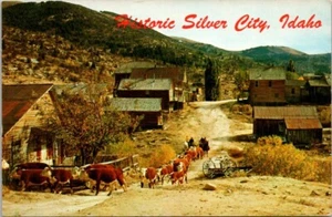 Postal histórica Silver City, identificación de Idaho - Imagen 1 de 2