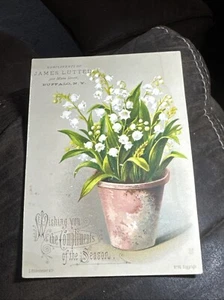 James Lutted Trade Card - Buffalo, NY.  W538 - Picture 1 of 3