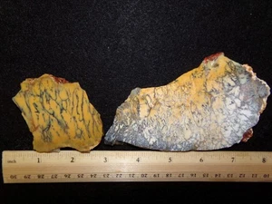 WEBERockin:  Australian Dendritic Opalite 2 Slabs - Picture 1 of 12