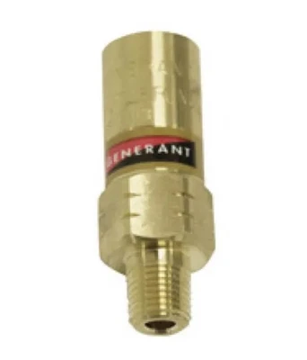 Ratermann  1/4" pressure relief valve with pipe away adapter  130 PSI  - Image 1 of 4