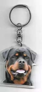 ROTTWEILLER keychain chien / DOG K.FOB - Picture 1 of 2