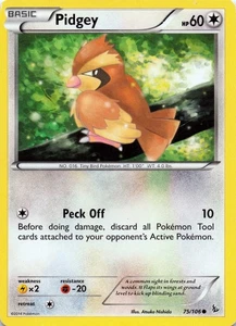 Pidgey 75/106 XY - Flashfire  - LP - Picture 1 of 2
