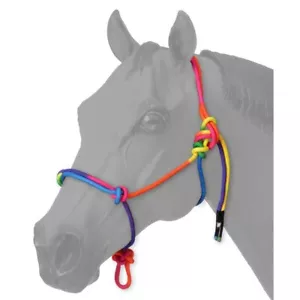 Halter cuerda arco iris para caballo miniatura - tamaños mini pequeños, medianos o grandes - Imagen 1 de 2