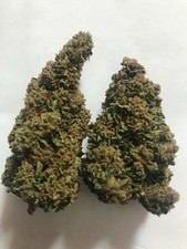 top quality AMNESIA infiorescenze prima  scelta gr 10 prodotta in Sardegna 