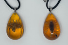 Scorpion Necklace and Spider Necklace - 2 Pack - Real Spiders Scorpions in Resin