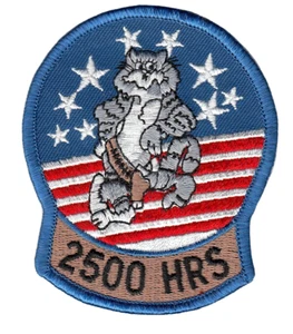 TOMCAT FELIX 2500 HRS SHOULDER PATCH - Picture 1 of 1
