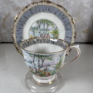Royal Albert "Silver Birch" Bone China Countess Cup & Saucer READ - Picture 1 of 10