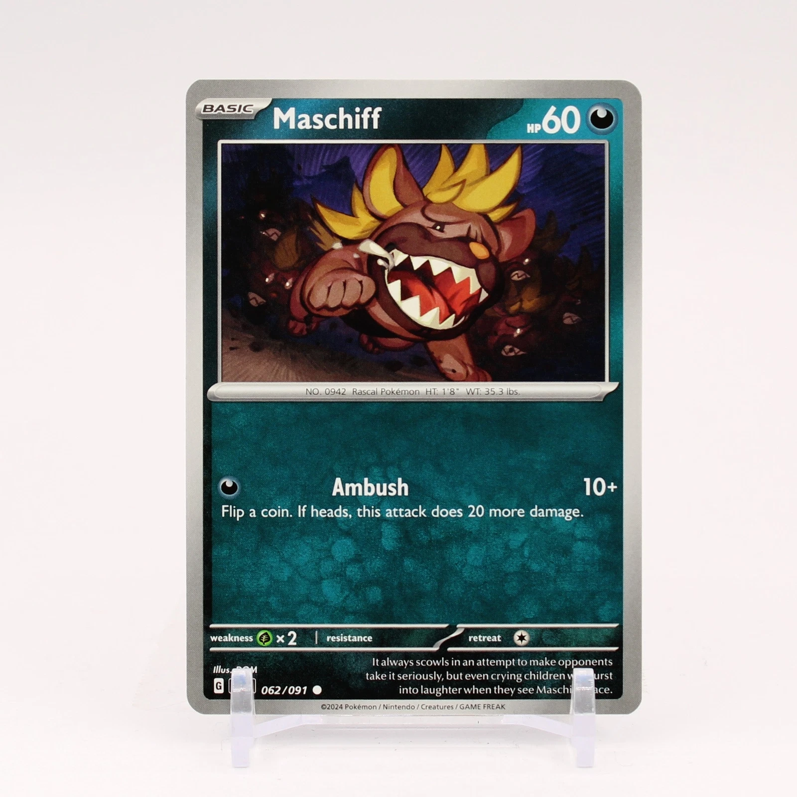 Maschiff - 062/091 Paldean Fates Pokemon - NM/MINT