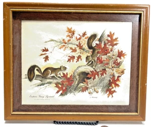 J. Loch Hart? The Eastern Gray Squirrel Family Signed Framed Print - Picture 1 of 5