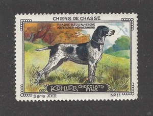 1931 Art Nestle France Dog Trade Card FRENCH POINTER BRAQUE BLEU D'AUVERGNE - Imagen 1 de 1