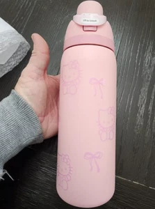 Hello Kitty Insulated Stainless Steel Water Bottle 32 oz - Black Friday - Picture 1 of 4