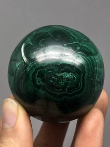 Malachite Polished Sphere 8.9oz! Beautiful Healing The Heart 2” N14 - Picture 1 of 12