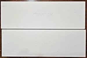 New Apple Watch Series 9 Cellular 45mm Silver Stainless Steel Case Blue Band M/L - Zdjęcie 1 z 4
