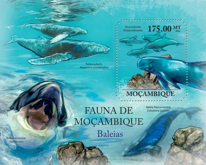 Mozambique 2011 MNH - Whales. Y&T 448, Mi 5014/Bl.518, Scott 2386 - Image 1 of 1