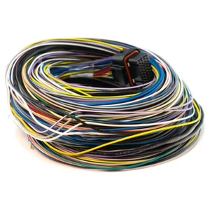 Para Link ECU G4+ G4X ECU 34 Via 5m Largo Terminado Gomas B - Link Storm ECU - Imagen 1 de 2