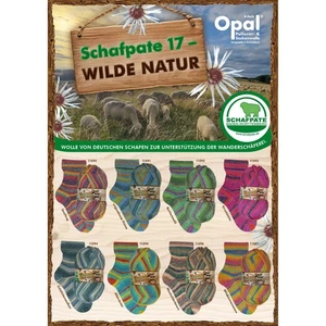 Opal "Schafpate 17 Wild Nature" 4ply Sock Yarn 100g Knitting Wool - Picture 1 of 9