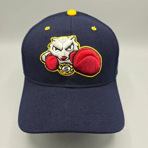 Vintage Bradford Fighting Squirrels Hat Cap Blue 7 5/8 College Sports Baseball - Picture 1 of 10