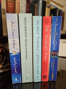 5 Book Bundle Elena Ferrante Julia Glass Melanie Benjamin Cassandra King Wally L - Bild 1 von 6