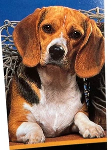 Antioch Beaded Bookmarks Beagle Photo 1992 by Ron Kimball - Imagen 1 de 7