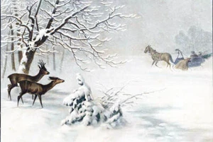 Deer watching Horse and Sleigh in Winter by M M Vienne old art - Picture 1 of 1