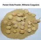 Rennet Paneer Doda Powder Withania Coagulans Paneer Phool Booti 500gm(17.63 OZ)'