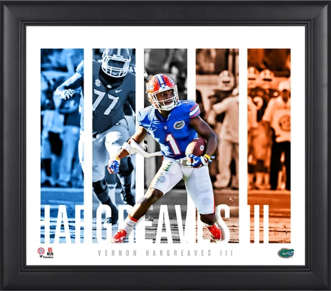 Vernon Hargreaves Florida Gators Framed 15x17 Player Panel Collage Cover