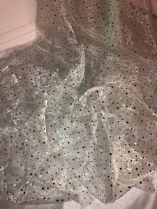 1 MTR LIGHT MINT SPARKLY SEQUIN HOLOGRAM ORGANZA VOIL DRAPING FABRIC 58” WIDE - Picture 1 of 3
