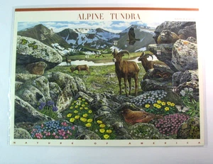 Hoja de estampillas de Estados Unidos Scott# 4198 Alpine Tundra 2007 MNH H367 - Imagen 1 de 1